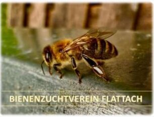 Logo BIENENZUCHTVEREIN FLATTACH Logo BIENENZUCHTVEREIN FLATTACH